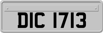DIC1713
