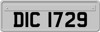 DIC1729
