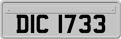 DIC1733