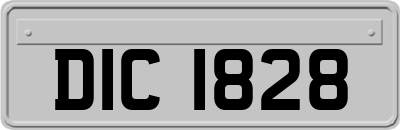 DIC1828