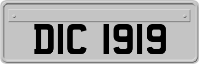 DIC1919