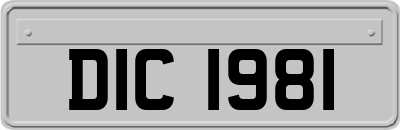 DIC1981