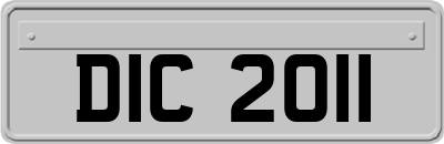 DIC2011