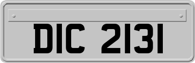 DIC2131