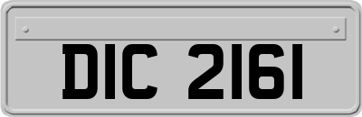 DIC2161