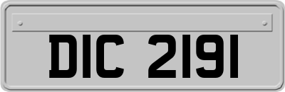 DIC2191
