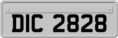 DIC2828