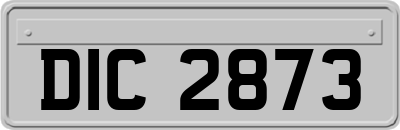 DIC2873