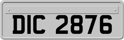 DIC2876