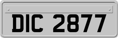 DIC2877
