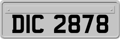 DIC2878