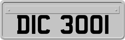 DIC3001
