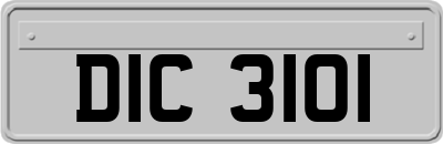 DIC3101