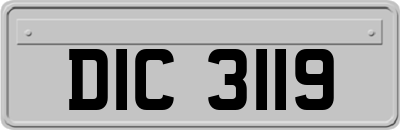 DIC3119