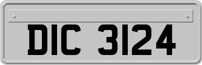 DIC3124