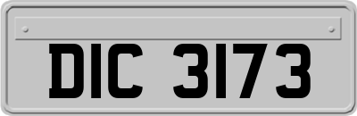 DIC3173