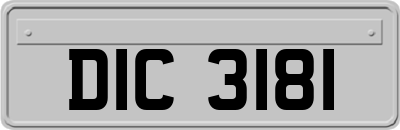 DIC3181