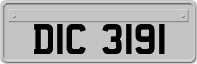 DIC3191