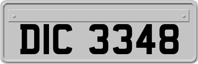 DIC3348