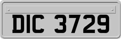 DIC3729