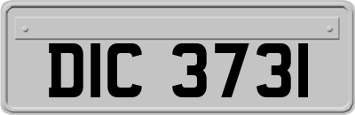 DIC3731