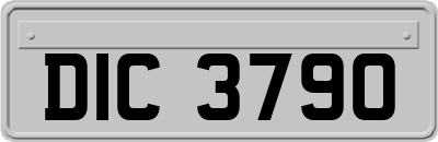 DIC3790