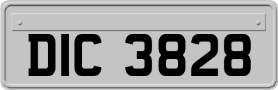 DIC3828