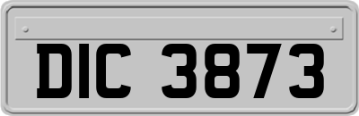 DIC3873