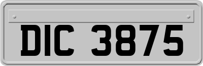 DIC3875