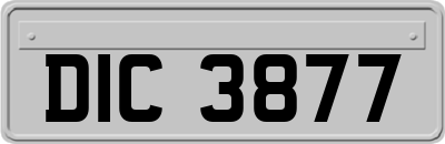 DIC3877