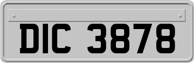 DIC3878