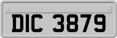 DIC3879