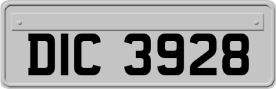 DIC3928