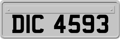 DIC4593
