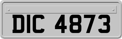 DIC4873