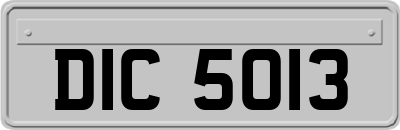 DIC5013