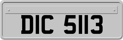 DIC5113