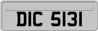 DIC5131