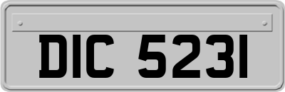 DIC5231