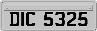 DIC5325