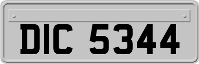 DIC5344