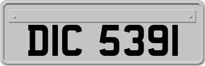 DIC5391
