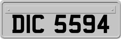 DIC5594