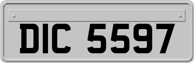 DIC5597