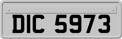 DIC5973