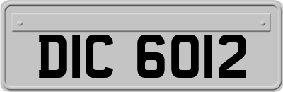 DIC6012