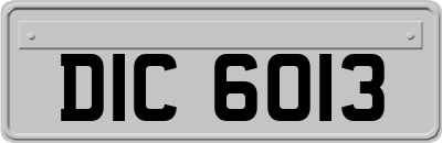 DIC6013