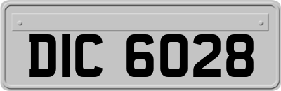 DIC6028