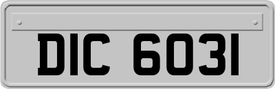 DIC6031