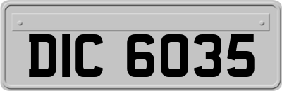DIC6035